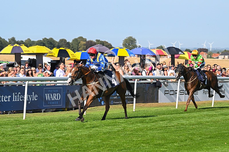 130825-Race 7-Tees Aggregates-9703 - Race 7