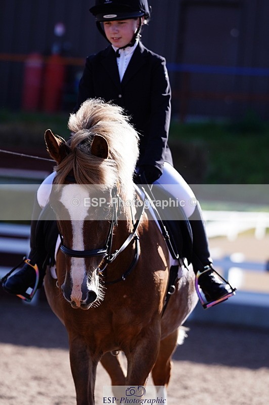 240809A-090942-00163 - Dressage Competition