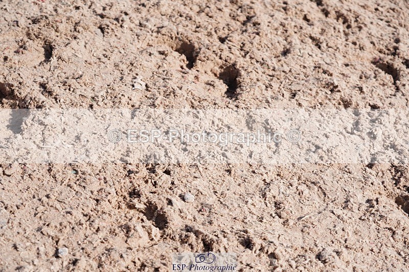 250427-100434-15450 - Cls 16 - 1 Star Bronze Tour