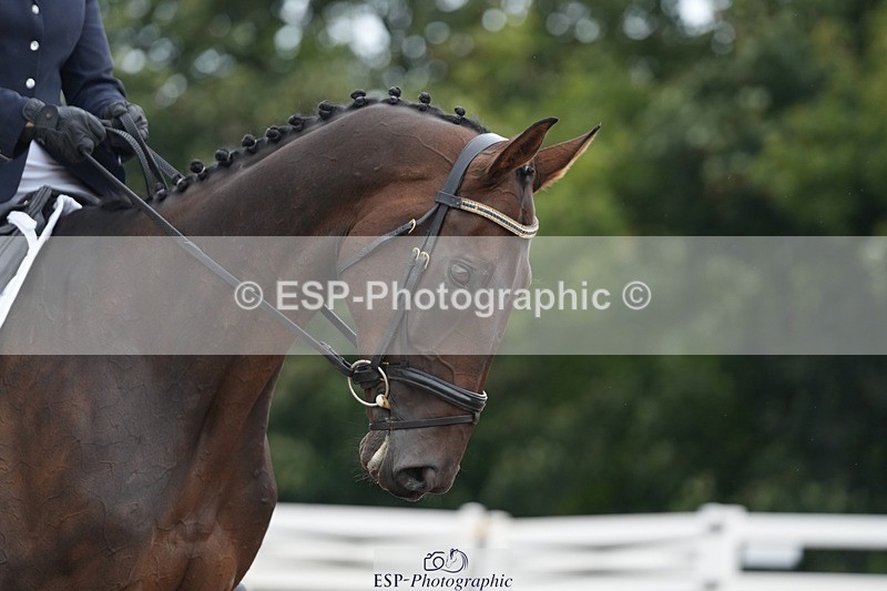 250907-124752-07421 - 097-Jude.FarrLoch.Arthur