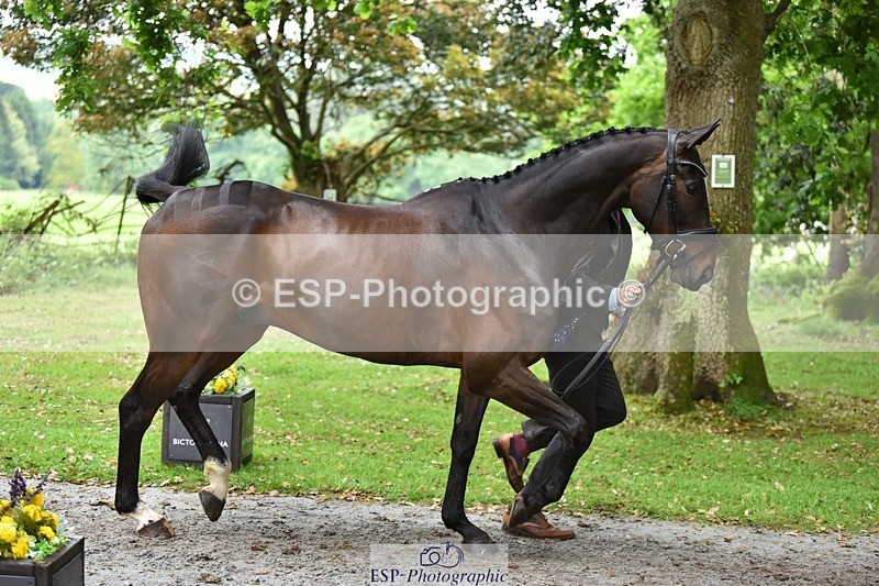 240522-170258-01349 - 234-MATTERHORN_RISING-Tom_Rowland