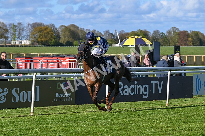 250424-Race 7-Little Rose-2022 - Race 7