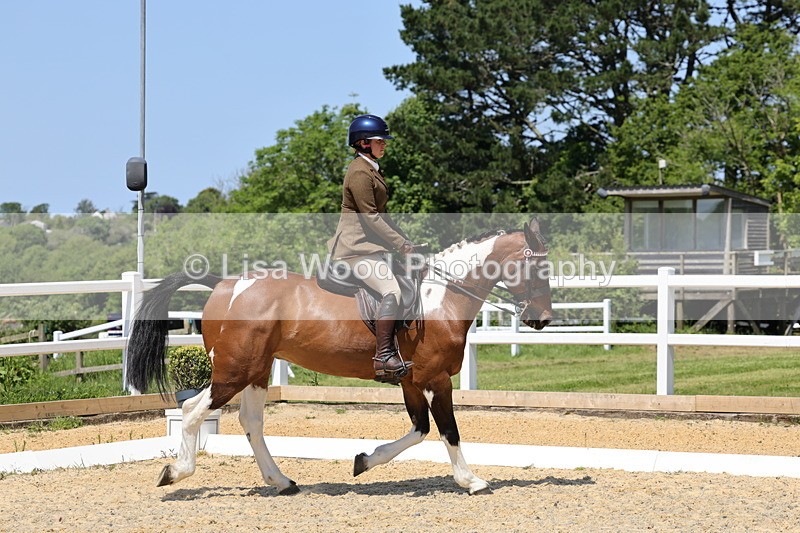 1X9A1810 - Class 12: Ridden Riding Horse/Hack