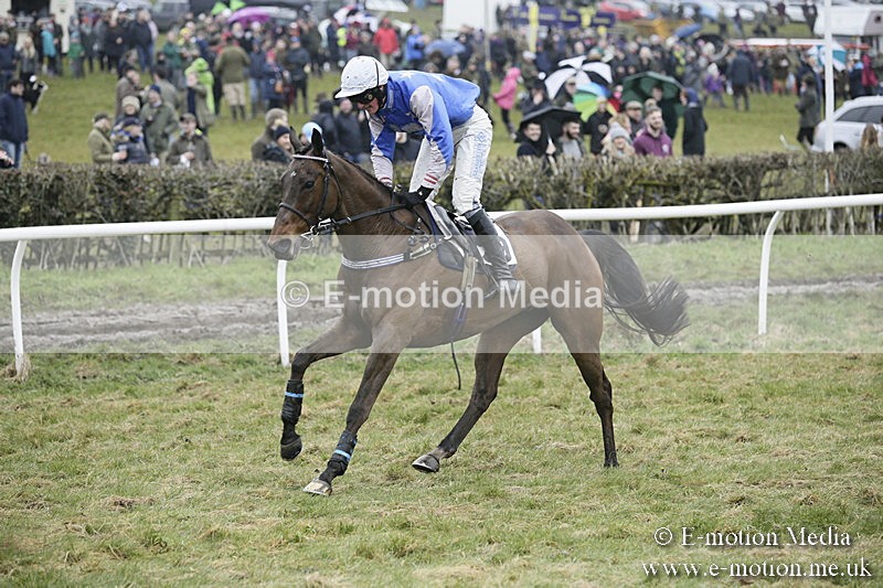 PtP 020418 -274 - Old Berks Point-to-Point Races Easter Monday 02/04/18