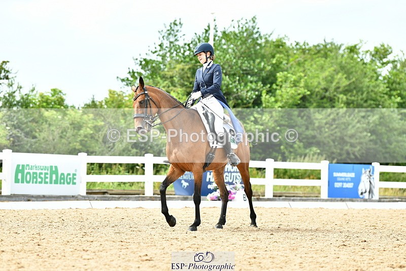 230702A-161018-11120 - Cls 37 + 42 FEI PSG + GP