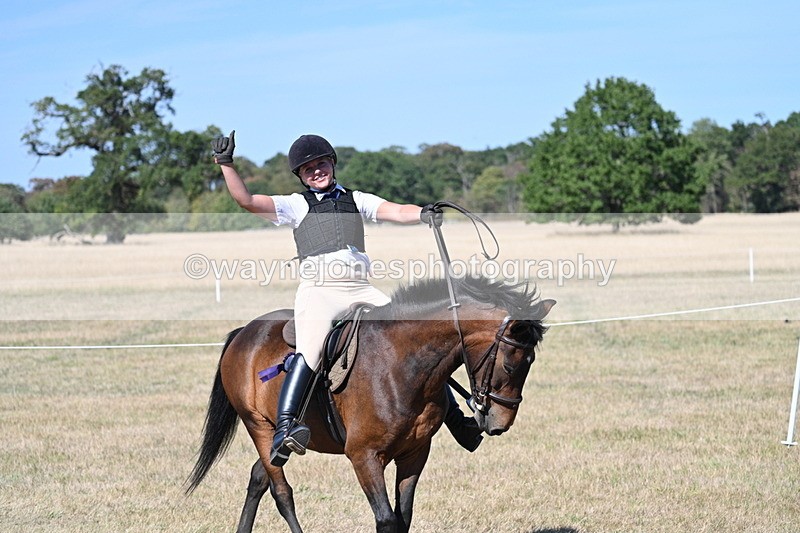 WJ7_1761 - Class 42 Most Handsome Gelding