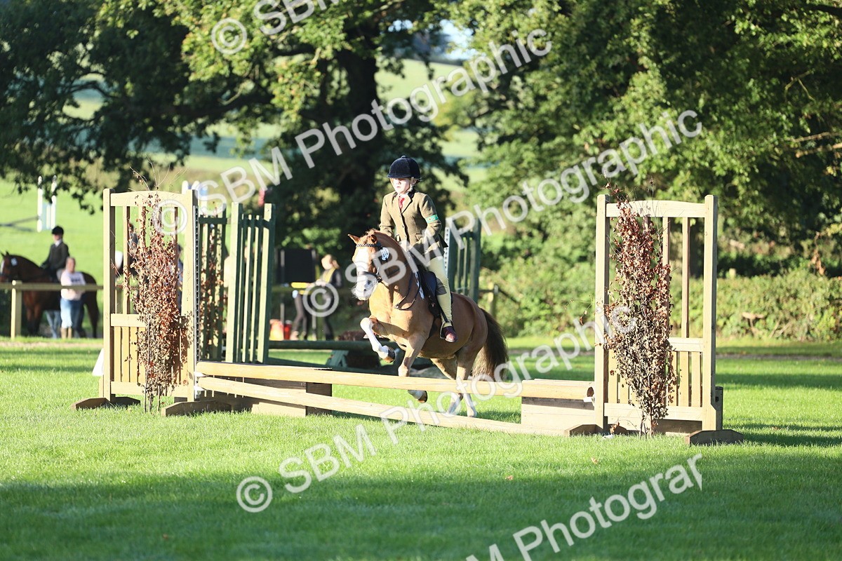 SBM_31815 - S28 - Nursery Stakes Working Hunter Pony