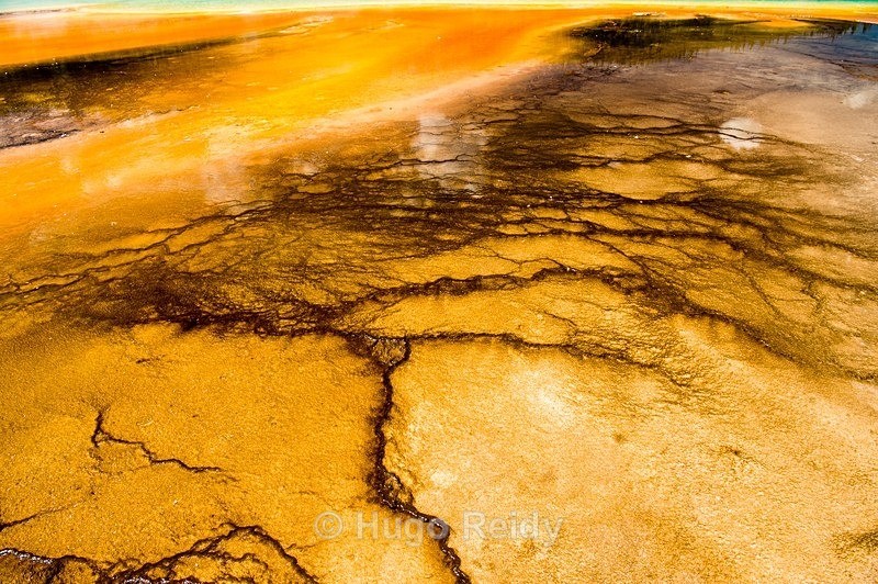  - Yellowstone