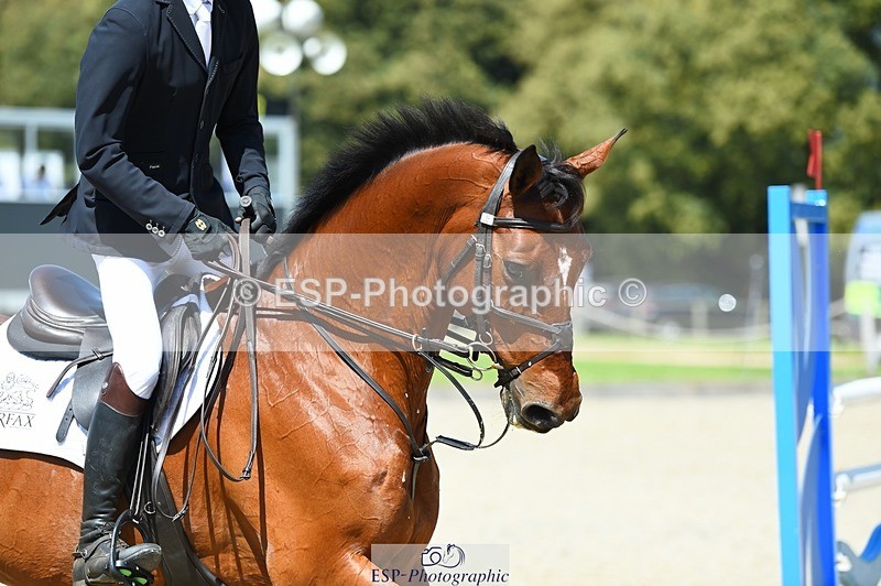 230527-150704-11432 - 469-WELLFIELDS_LINCOLN-Susie_Berry-SJ