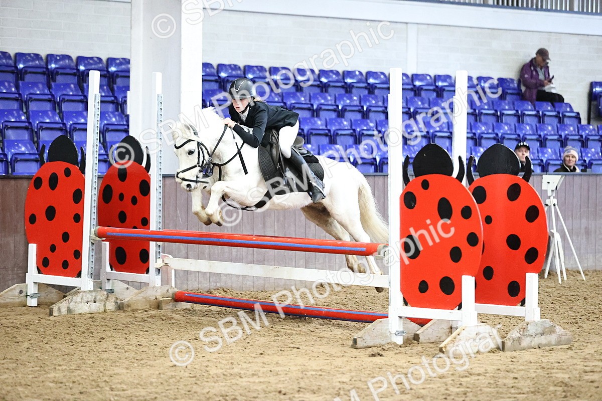 SBM_001408 - Class 9 - Pony British Novice 80cm