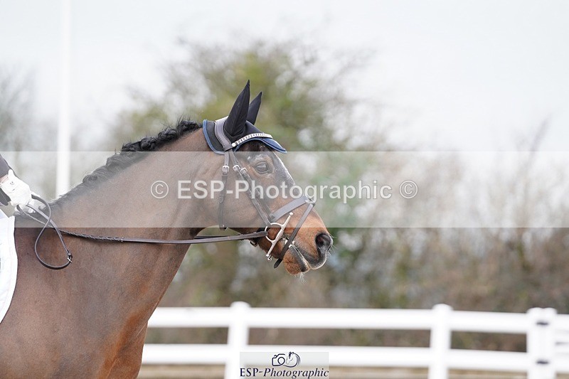 250322-085636-00006 - DR Intro 1 Test