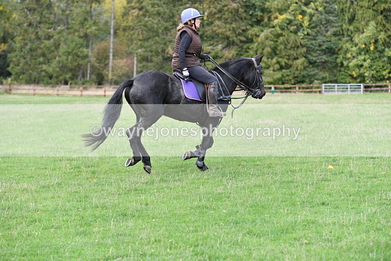 WJ5_9091 - Time 12:34 to 12:57