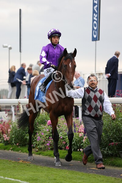 yr09102021r5-8 - Race 5 3.50pm Coral ebfstallions.com Novice Stakes