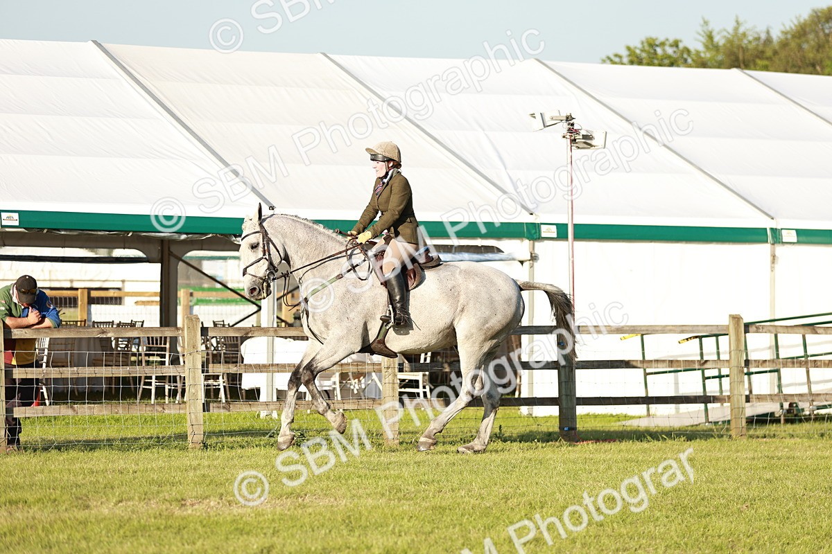 SBM_20483 - Class 117-119 - Sport Horse Working Hunter