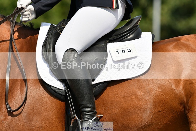 250817-121229-08821 - 103-LOOBY.CHUBBJ.Force