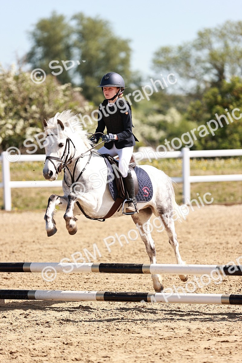 SBM_006855 - Class 2 - 50cm