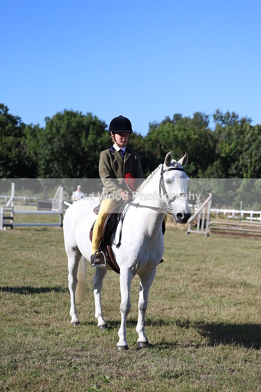 3E7A5394 - Class 2: Working Hunter 60cm