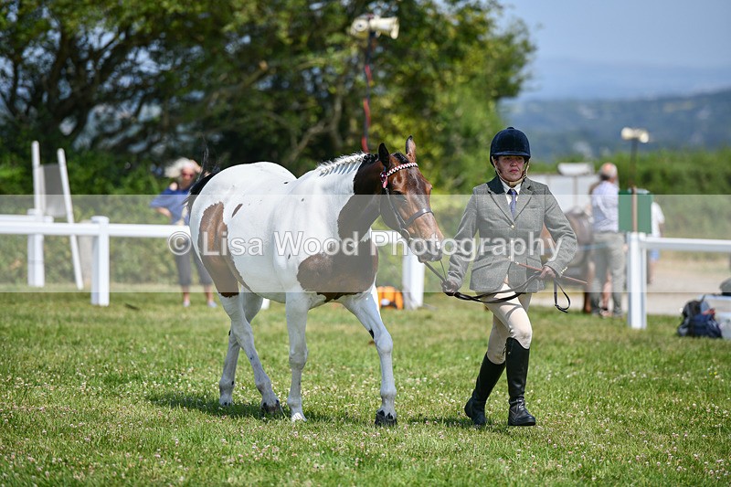 DSC_7864 - Class 65: Coloured Horse 4yrs & Over