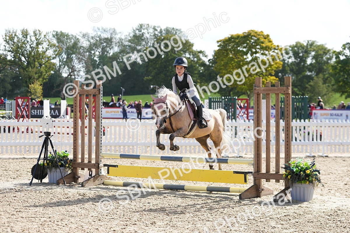 SBM_48401 - J7 - Junior Pony 60cm Championship