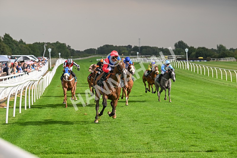 280824-Race 4-Desert Dream-4396 - Race 4