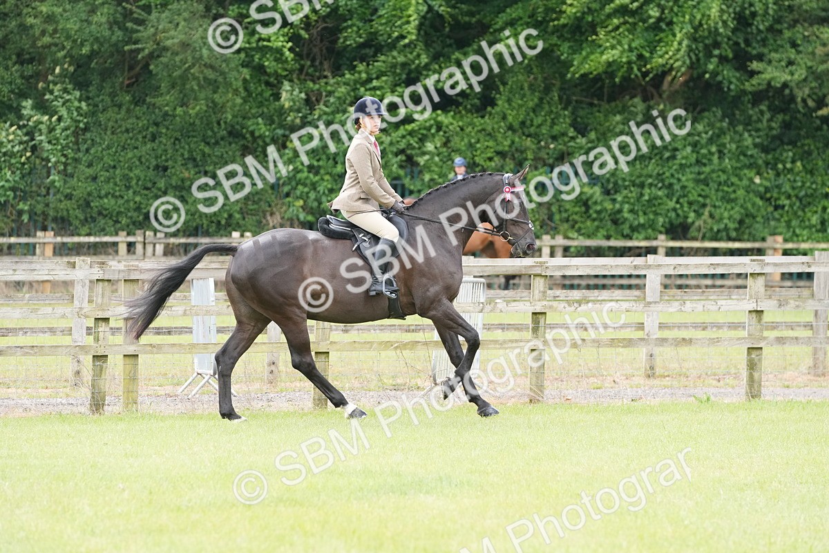 SBM_12935 - Class 99 - RIHS SEIB Working Show Horse