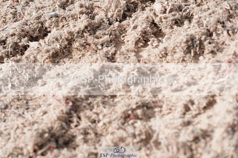 250505-094354-04148 - Cls 12 Stepping Stones