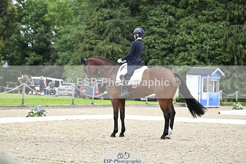 240523-170337-05613 - 449-REDFIELD_FYRE-Cassie_Sanger