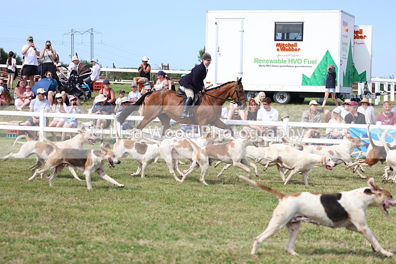 3E7A0165 - Parade of Hounds