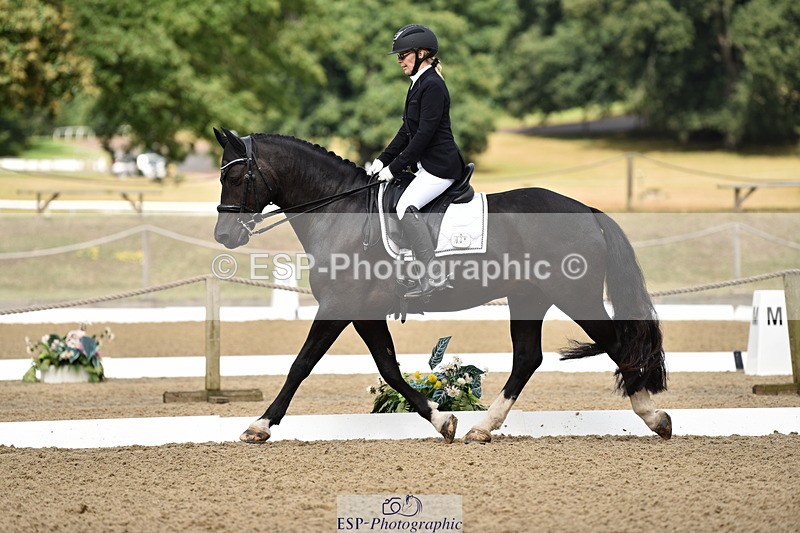 140109A-230648-08382 - 088-Carolyn.Galemully-brook.sylvester