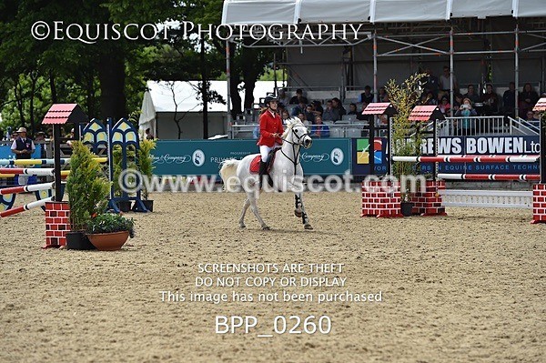 BPP_0260 - RHS 2019 Selection - *Just some random spectator shots so Lucky Dip if you are there!