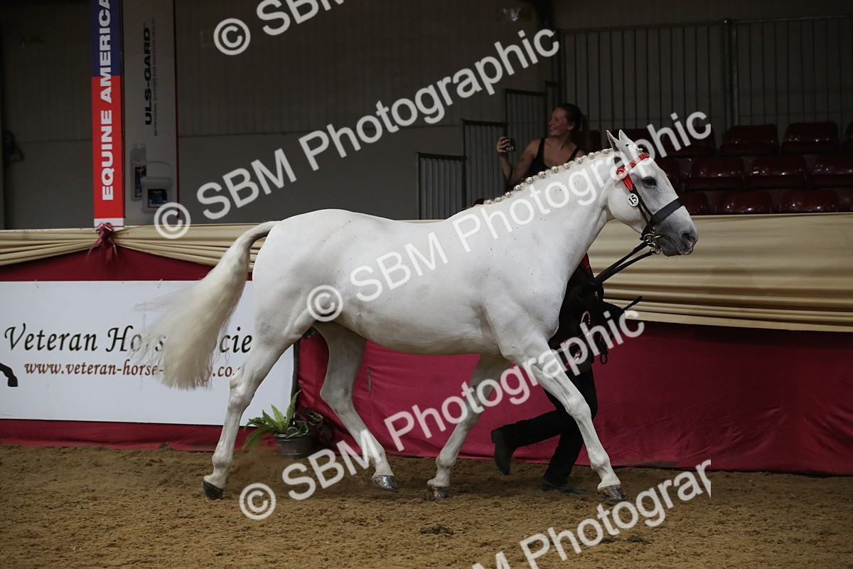 SBM_05842 - Class 9R - Regional IH Pre-Vet