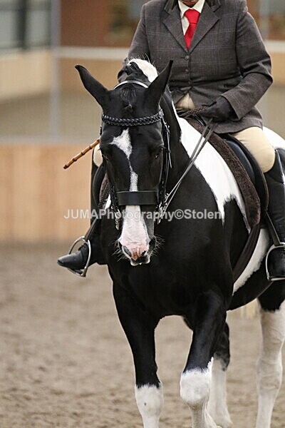 SIAL2949 - Sunday 14th Ridden