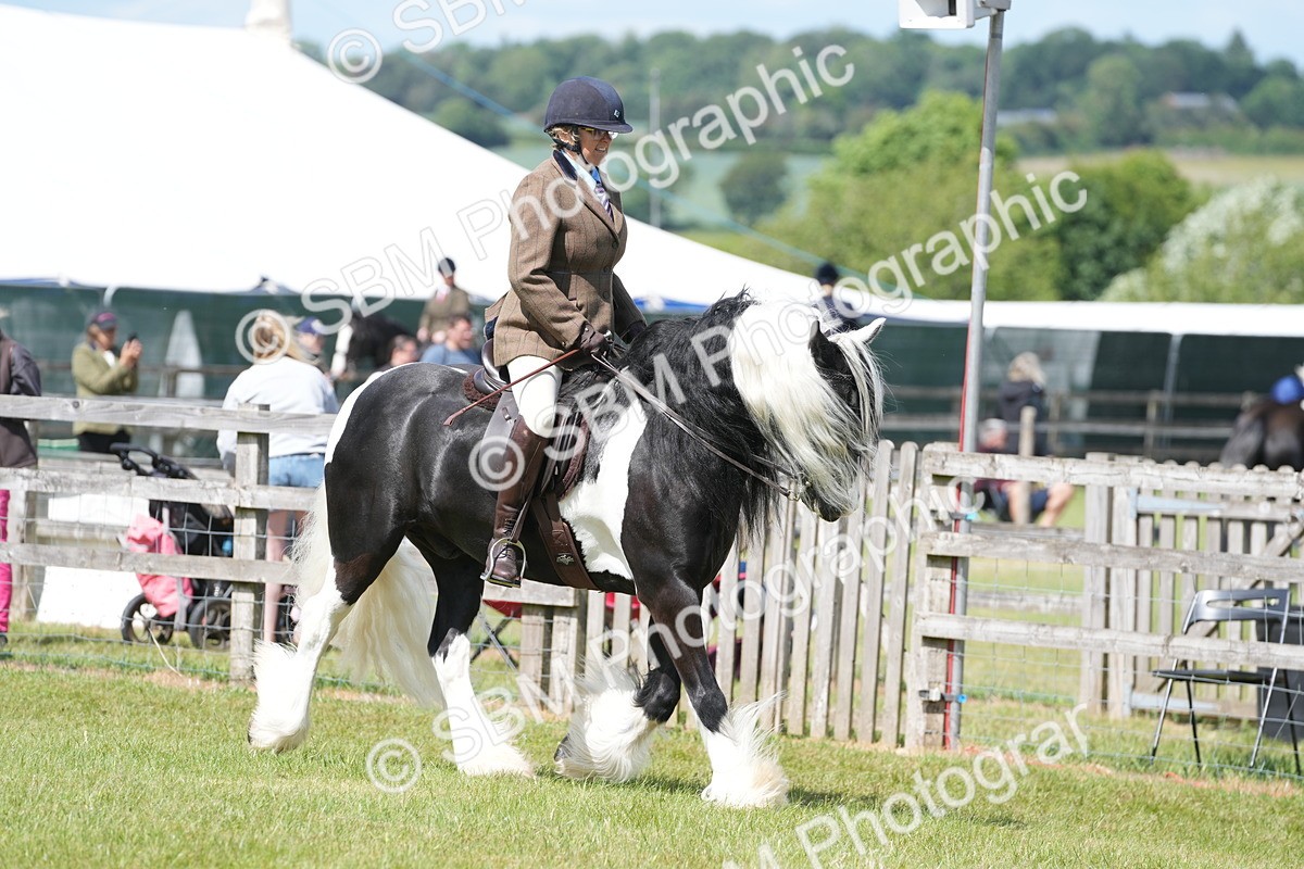 SBM_17101 - Class 107-108 - LIHS BSPS Performance Coloured Horse Pony