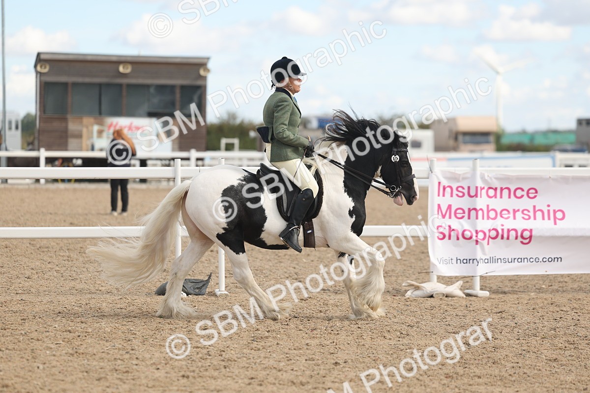 SBM_14651 - Class 307 - Ridden Coloured Pony