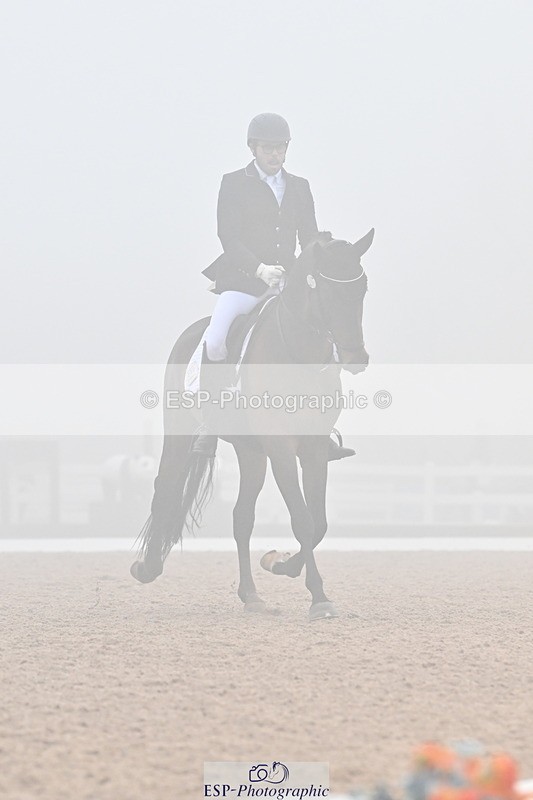 240217A-140820-03346 - 256-Bradley.Moore-Taylor-Ouyuan