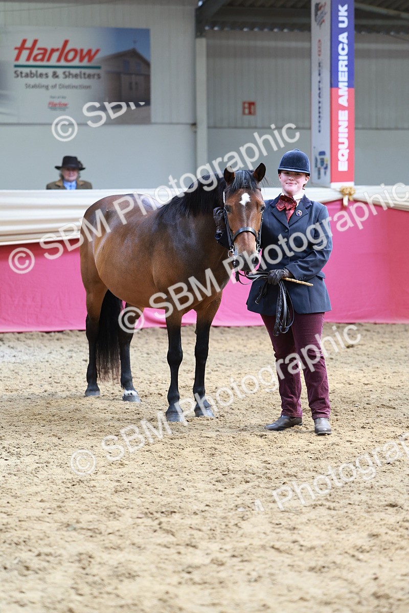 SBM_17576 - Class 951 - M&M IH Supreme Final