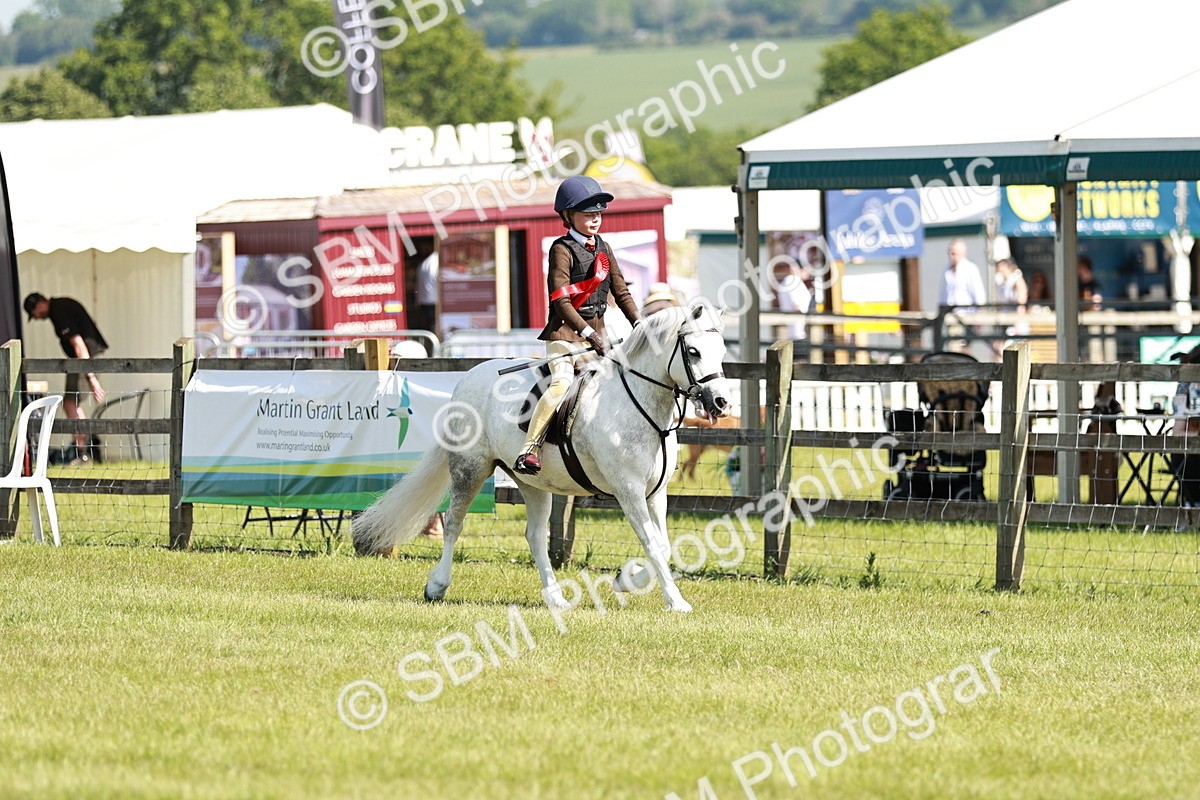 SBM_12834 - Class 106-107 - BSPS LIHS Working Sports Pony