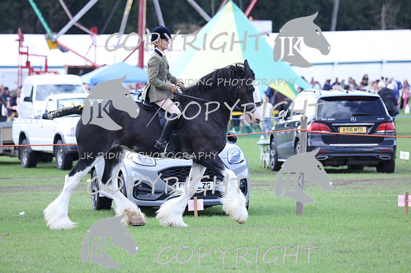 APP_3640 - Class 8 Ridden Class