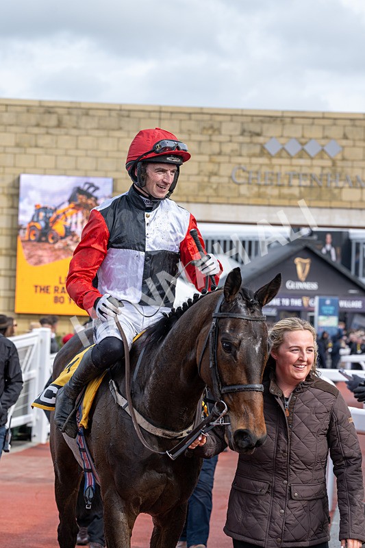 130326-Race 1-Apolon De Charnie-1443 - 13th March