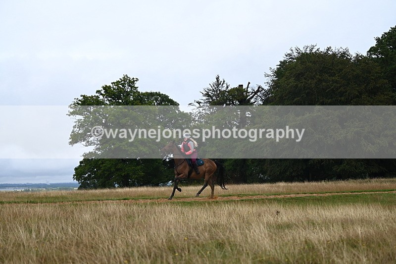 DSC_3933 - Time at Statue 14:56 to 15:05