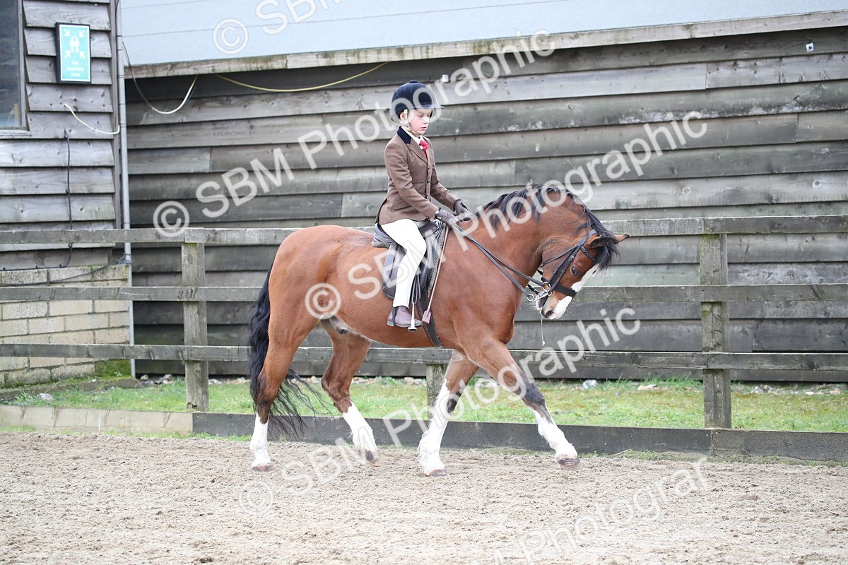 SBM_005899 - Class 10-13 - RIHS Small Large Breeds