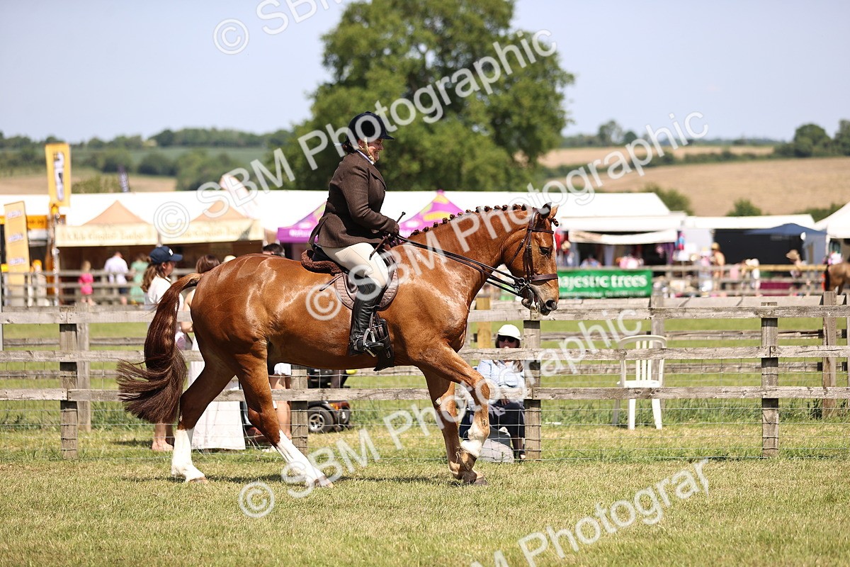 SBM_17712 - Class 81-83 - TSR Ridden Amateur of the Year - Horses