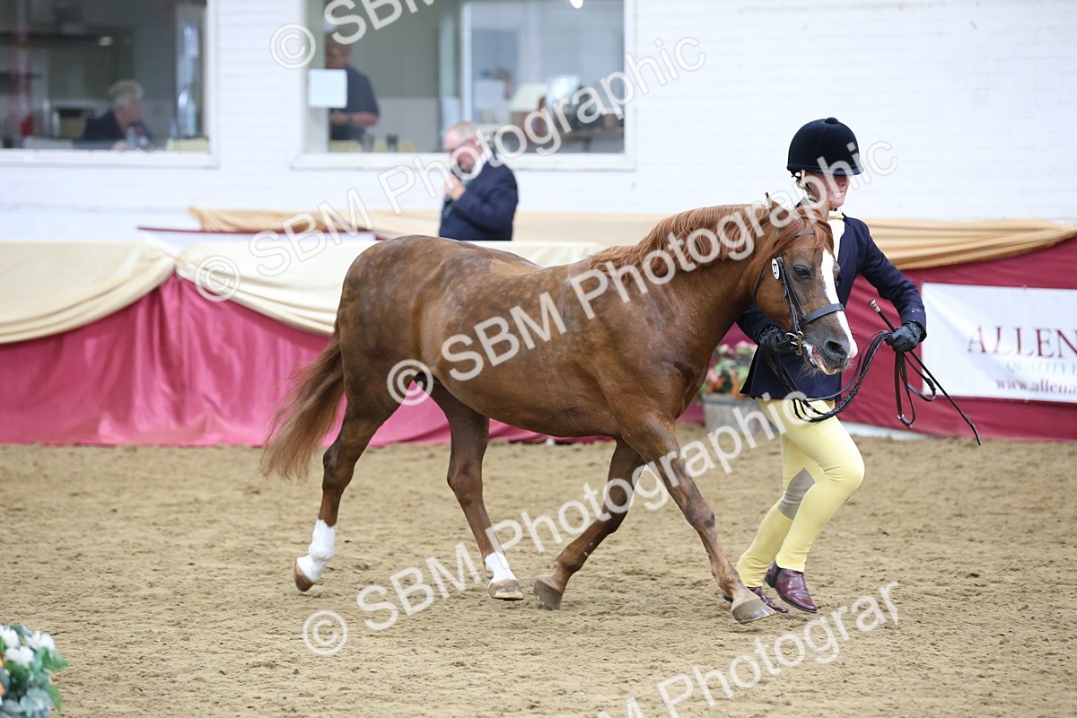 SBM_23607 - Class 904 - Supreme Final - Ridden Diamond