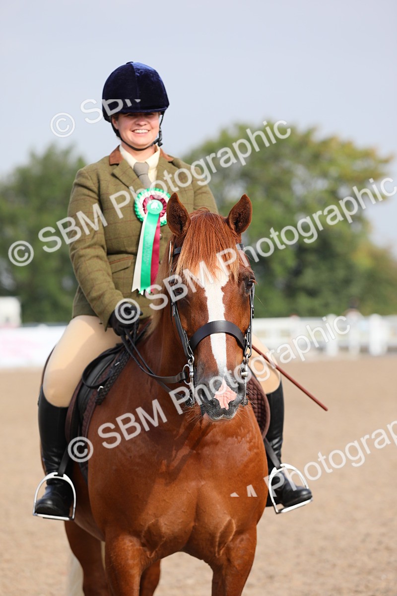 SBM_10167 - Class 302 Ridden M&M -Large Breeds
