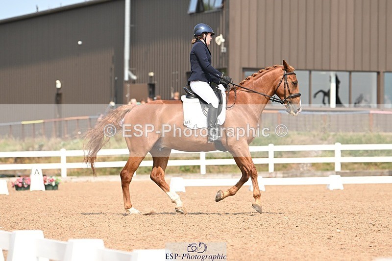 250816-134314-04905 - 080-Elizabeth.StoneZiggy