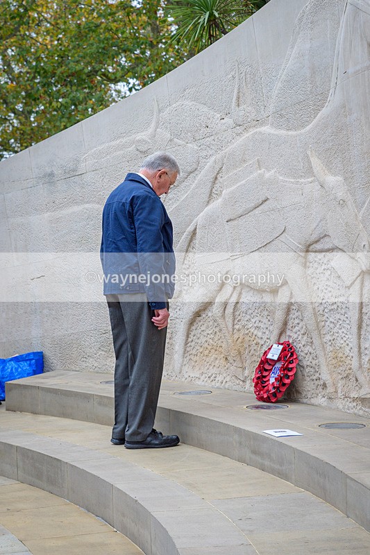 NGP_8206 - 2024 Animals in War Remembrance Gathering
