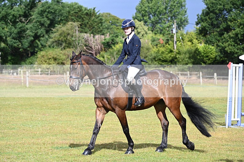 WJ6_8505 - Class 9 Tack & Turned out