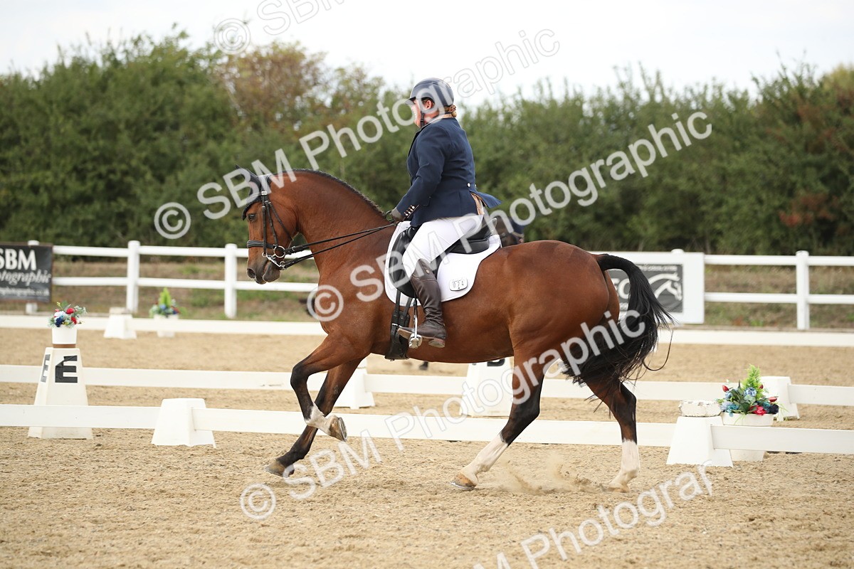 SBM_002982 - Class 6 - Elementary 5 - 14.50-15.46