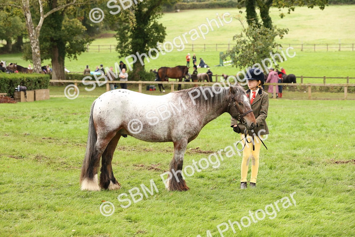 SBM_59258 - S57 - Traditional Cob In Hand