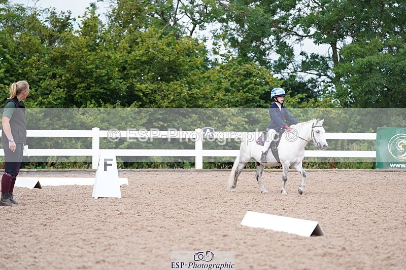 240809A-110006-00698 - Dressage Competition
